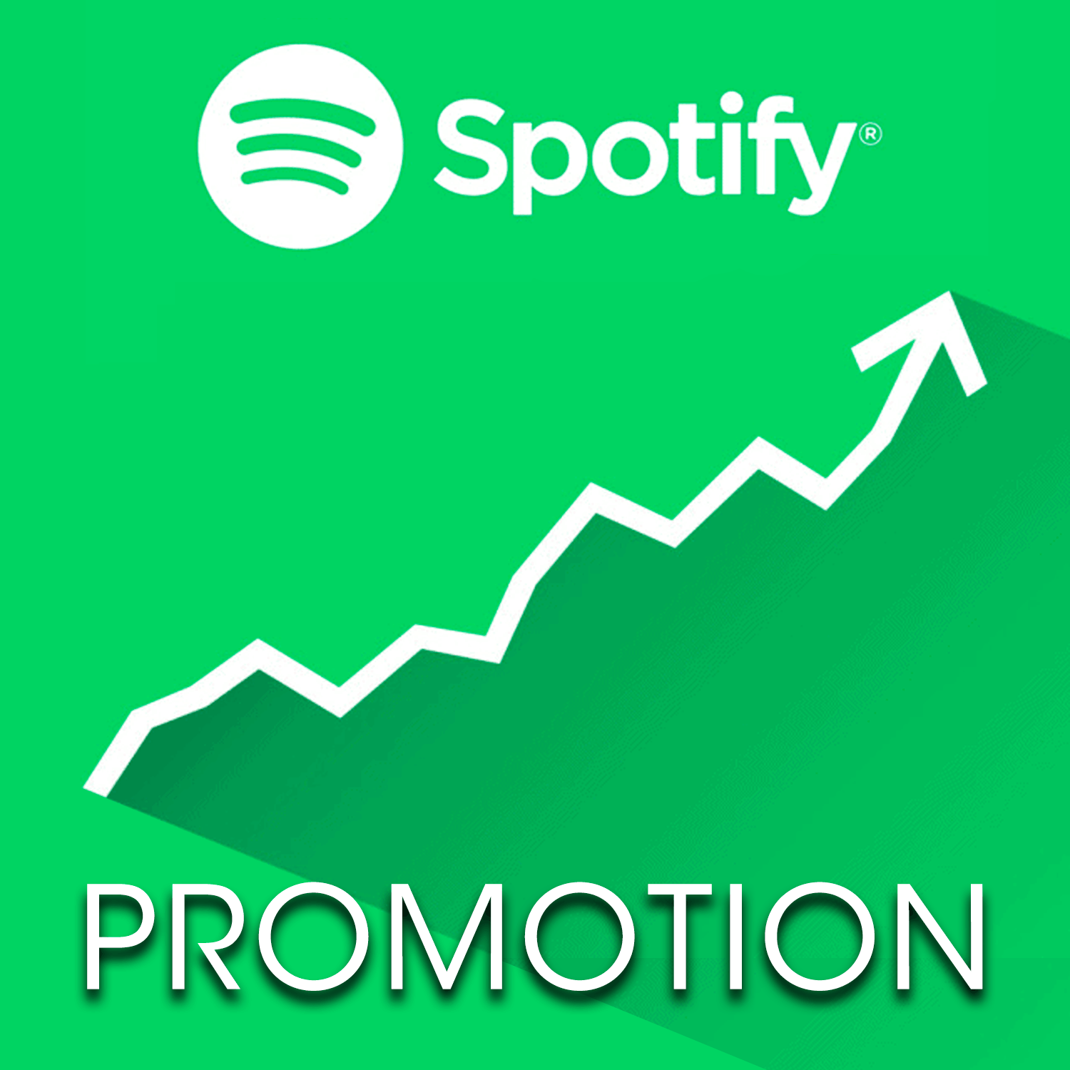 Spotify Organic Promotion